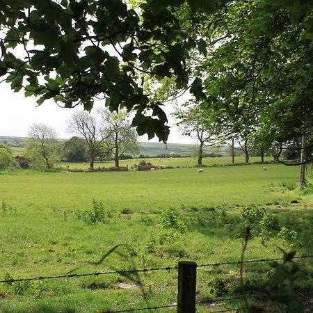 TreffynnonTy Llwyd住宿加早餐旅馆 外观 照片