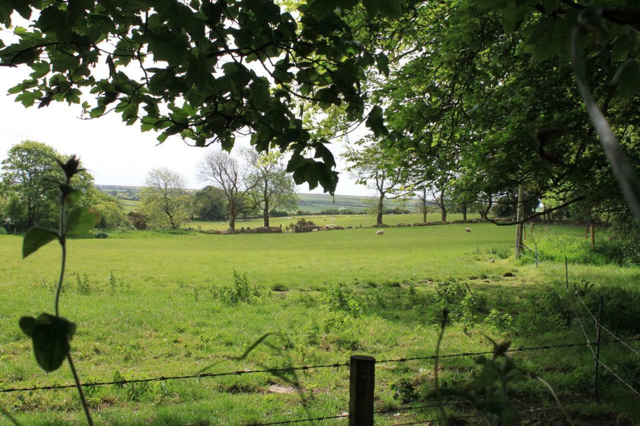 TreffynnonTy Llwyd住宿加早餐旅馆 外观 照片